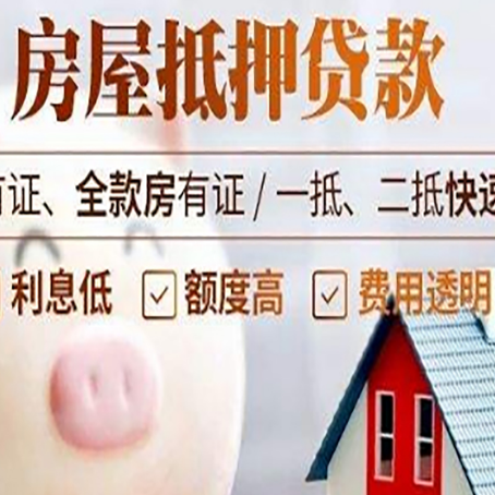 乃东贷款助贷公司新渝启服成立时间久